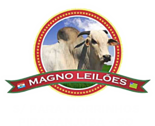 Magno Leilões
